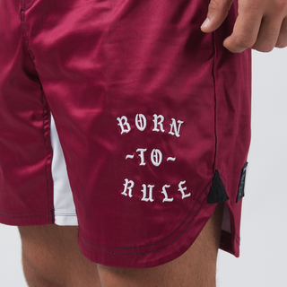 Shorts No-Gi Kingz Geboren um zu herrschen