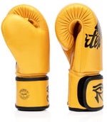 Guantoni Muay Thai Fairtex BGV1 Falcon Golden